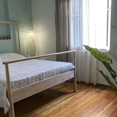 House Full Of Apartment